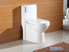 全自动马桶都具备哪些实用功能
