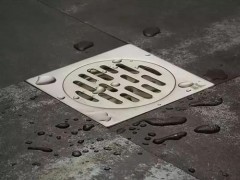 不锈钢地漏内芯掉到下水道