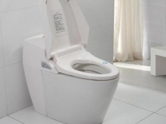 马桶两个冲水按钮分别什么作用