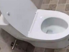 马桶被卫生纸堵了如何自己快速疏通