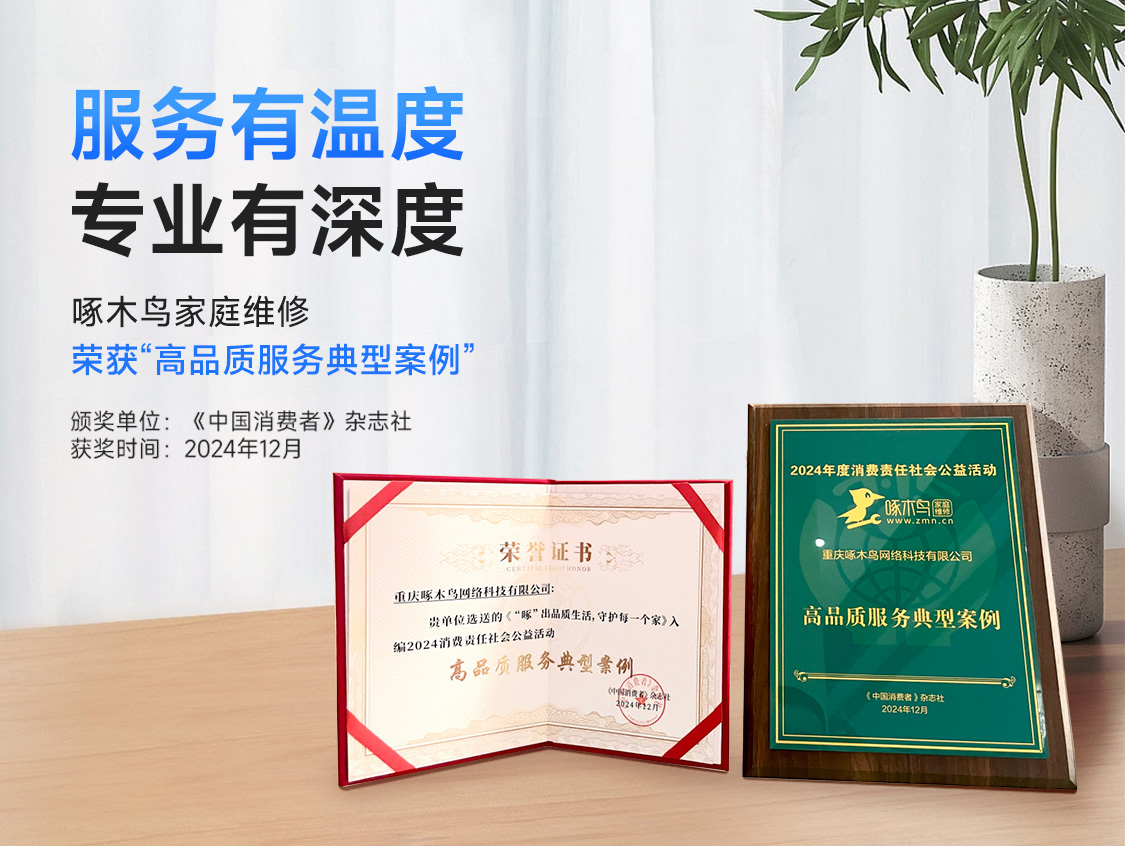 家用灯具维修展示图4